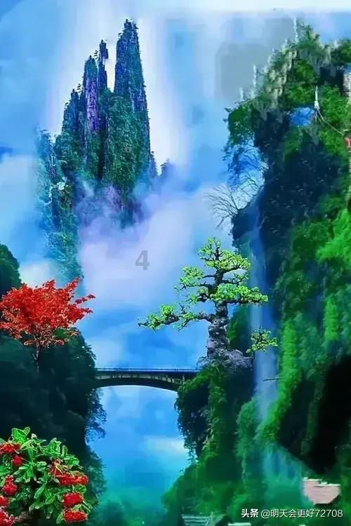 拯救树精灵