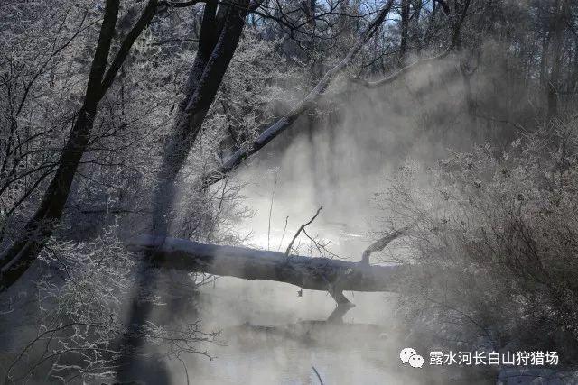 潜行者：普里皮亚季的召唤