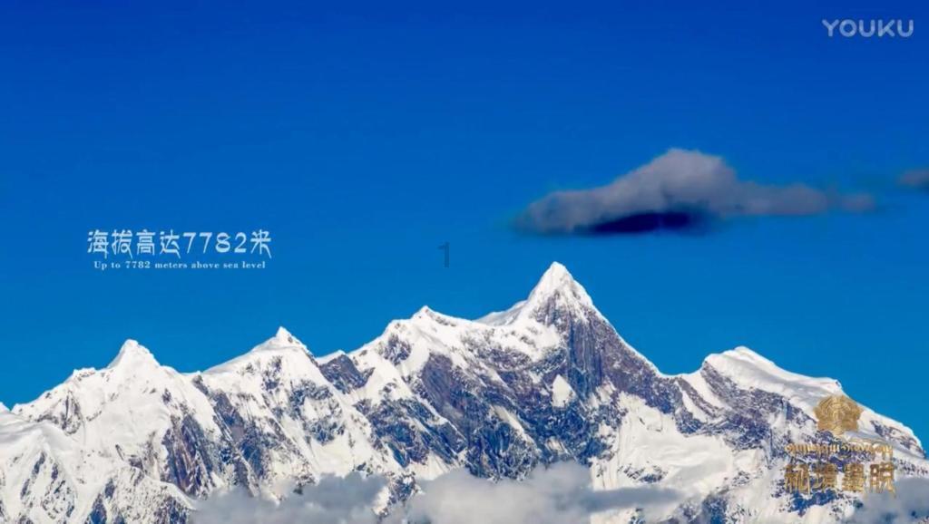 斩草除根，求解生肖