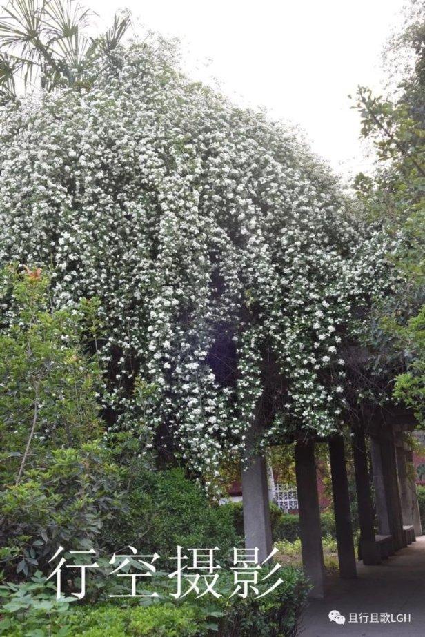 逃离狂热地带