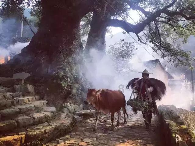狂野飙客3