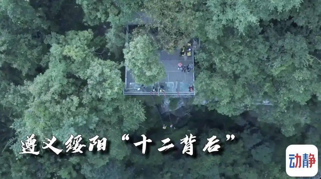 古代打仗,士兵为何被箭射中后就倒地而亡?专家:想动但不能动