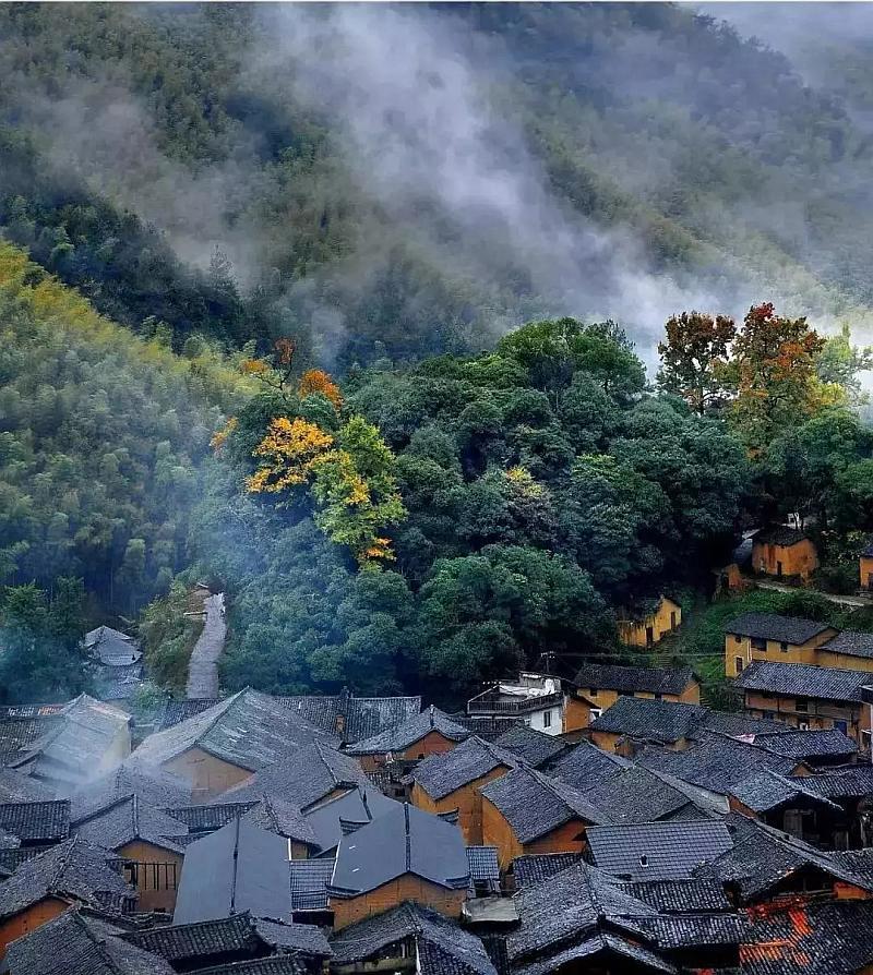 动物记忆大翻牌