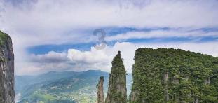 沪江开心词场