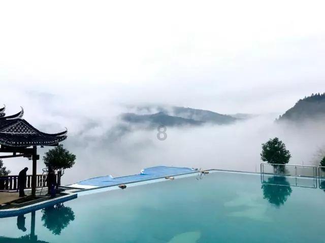 诺丽果:揭秘抗衰老的神秘力量与科学原理