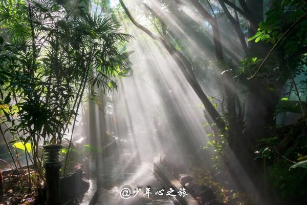 战略支援部队某旅坚持向战发力深化主题教育
