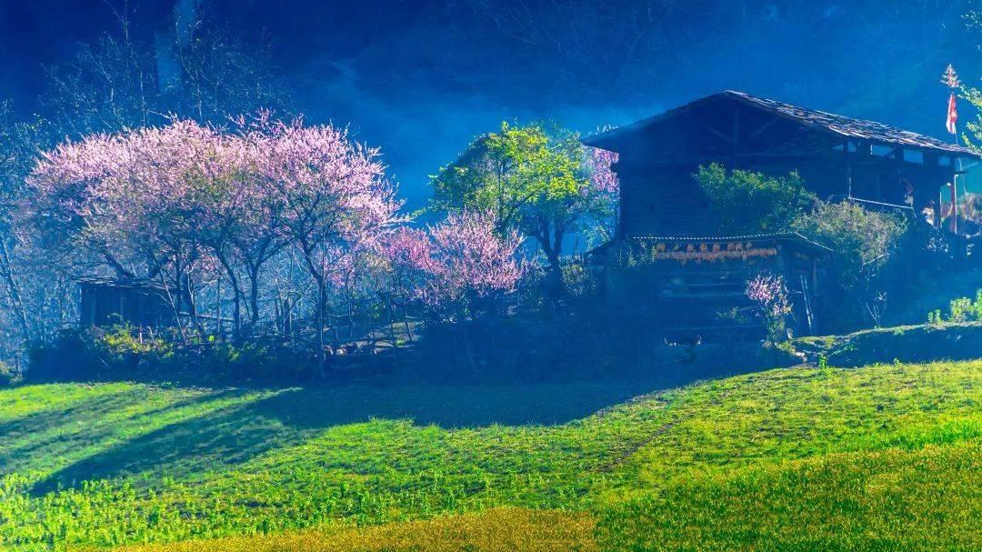 芭比的电影灵感
