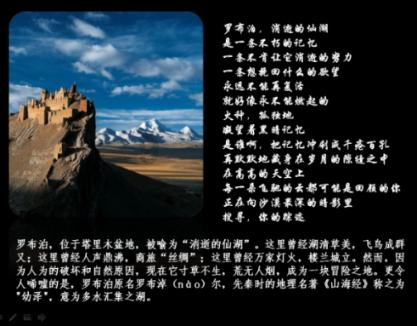 女子哈尔滨打出租车,司机不让线上付款扬言:爱去哪投诉去哪投诉