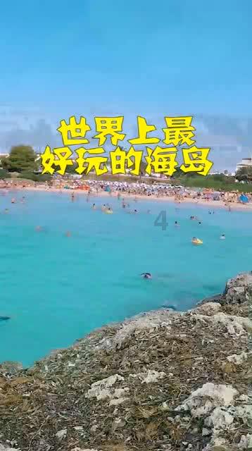 组装机械警暴龙