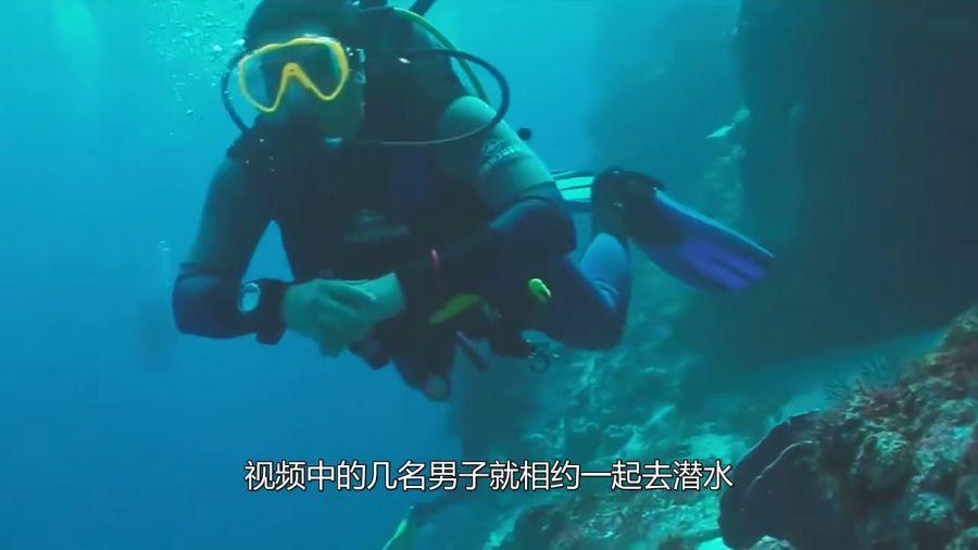 重庆开州区:2024年万达开(开州)春季房交会暨土地推介会将于2月1日启幕