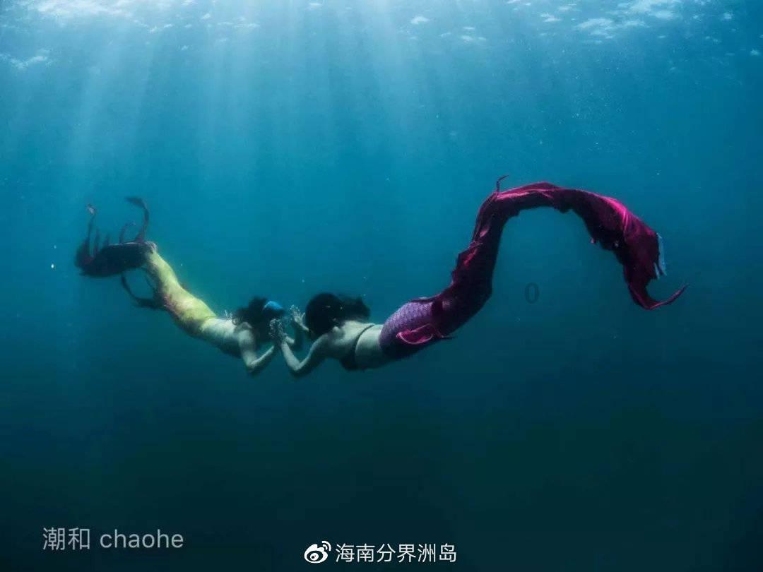 探索猫能不能吃熟的大葱?,了解知识星球平台的魅力