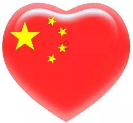 还有这种猫！扒着男主人不放还对男主人做这种事，醋坛子都翻了！