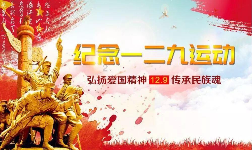 狗狗物品记忆卡