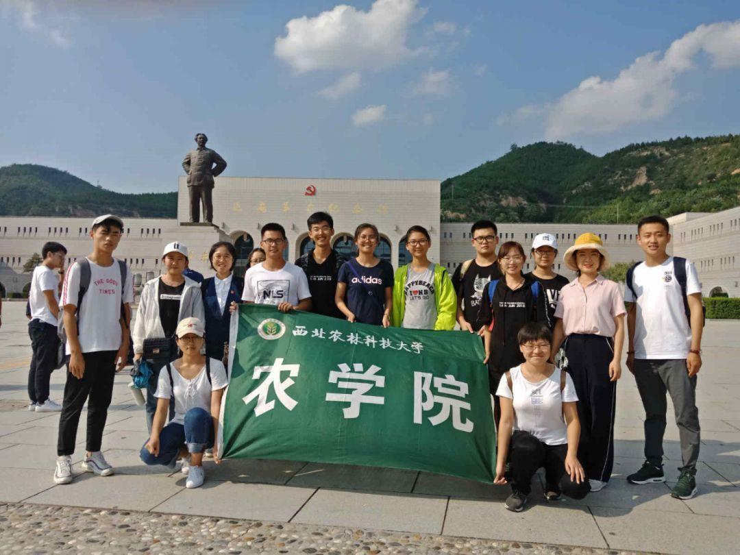 僵尸跳跳跳