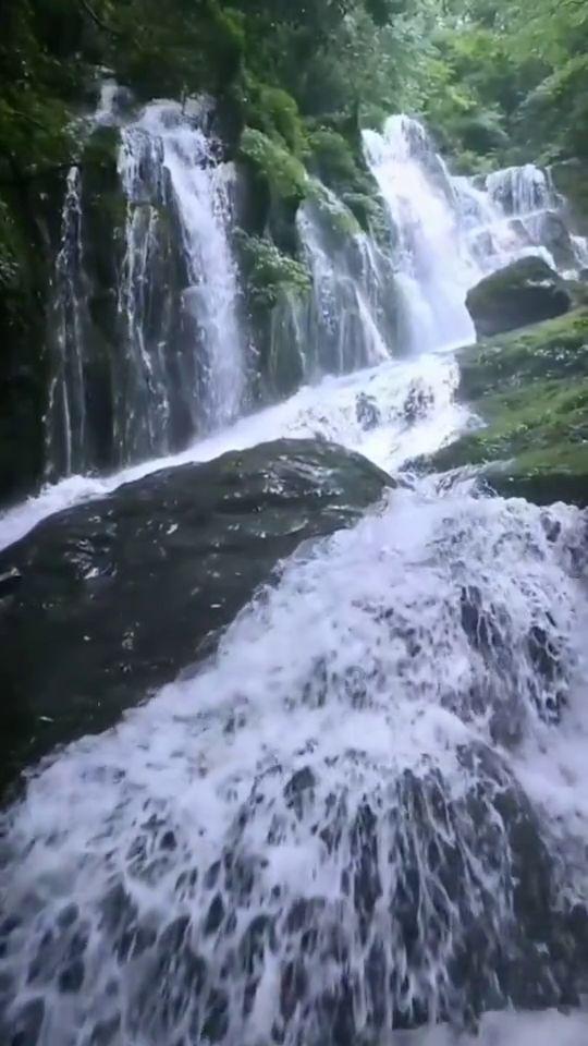 虫虫助手下载