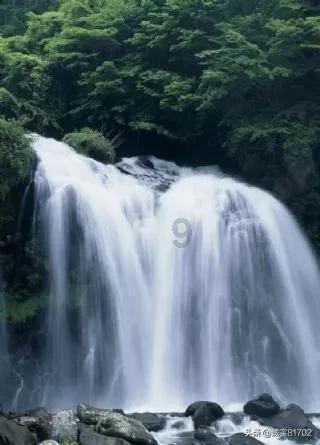 急速变色龙