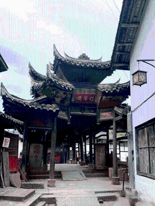 细胞分裂4