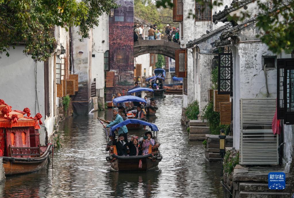 动物帮帮忙保卫家园