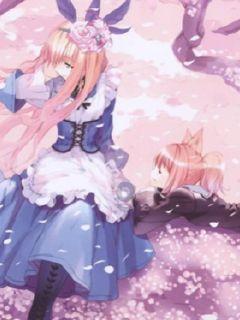 创作猫